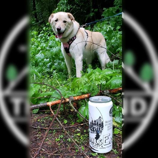 “Rainy Rathdrum Mountain hike with Journey and Trails End Crowlers. Thanks for t