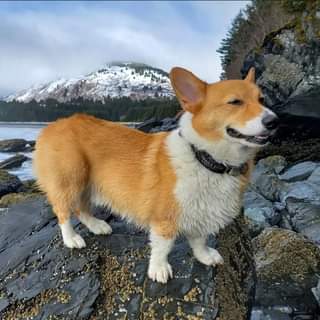 @maverickpwc sporting TE gear in Alaska. Cheers little friend!