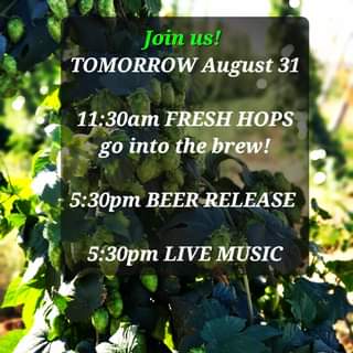Big day tomorrow! We are racing back from Roy Farms in Yakima with FRESH HOPS  j